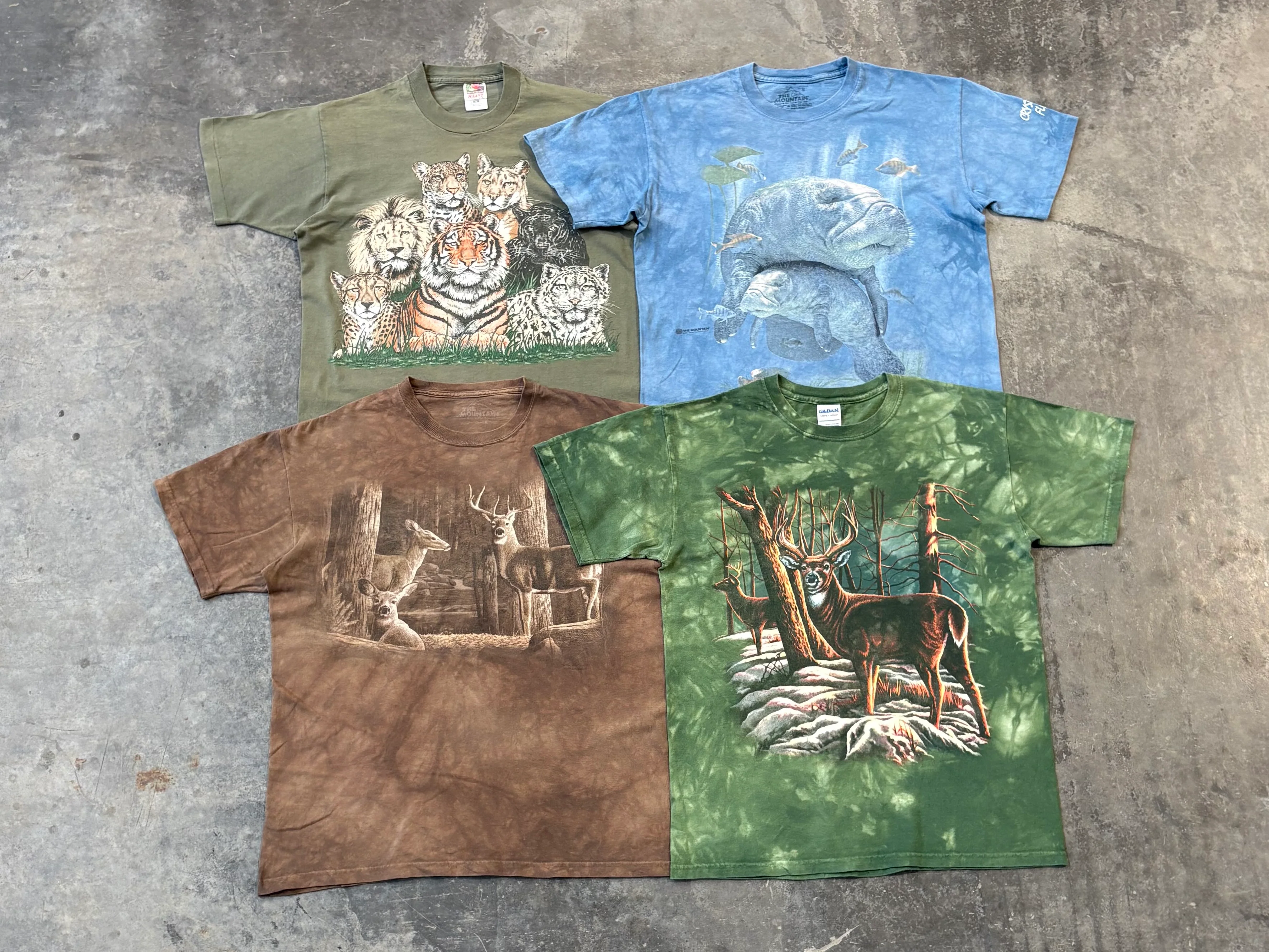 Animal Print Tees - Image 4